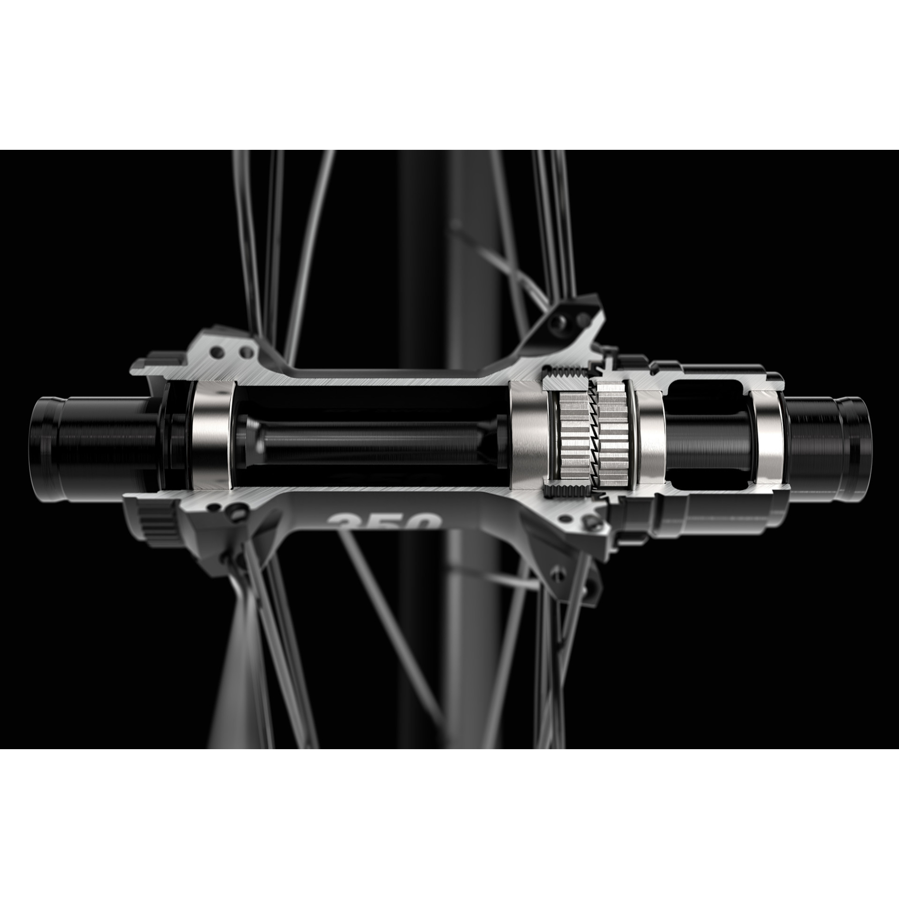 BUJE trasero DT Swiss 350 SP 28H - Imagen 5